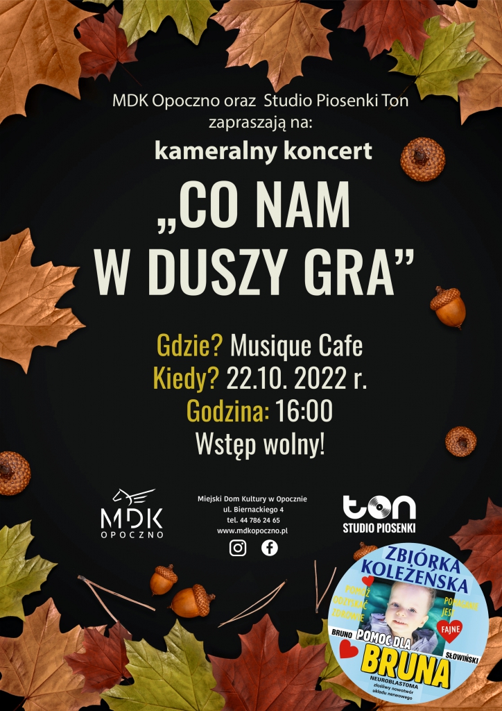 Co nam w duszy gra - koncert dla Bruna