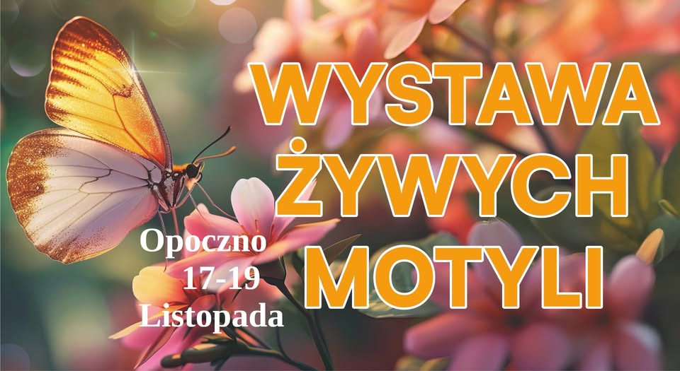 Wystawa motyli w MDK