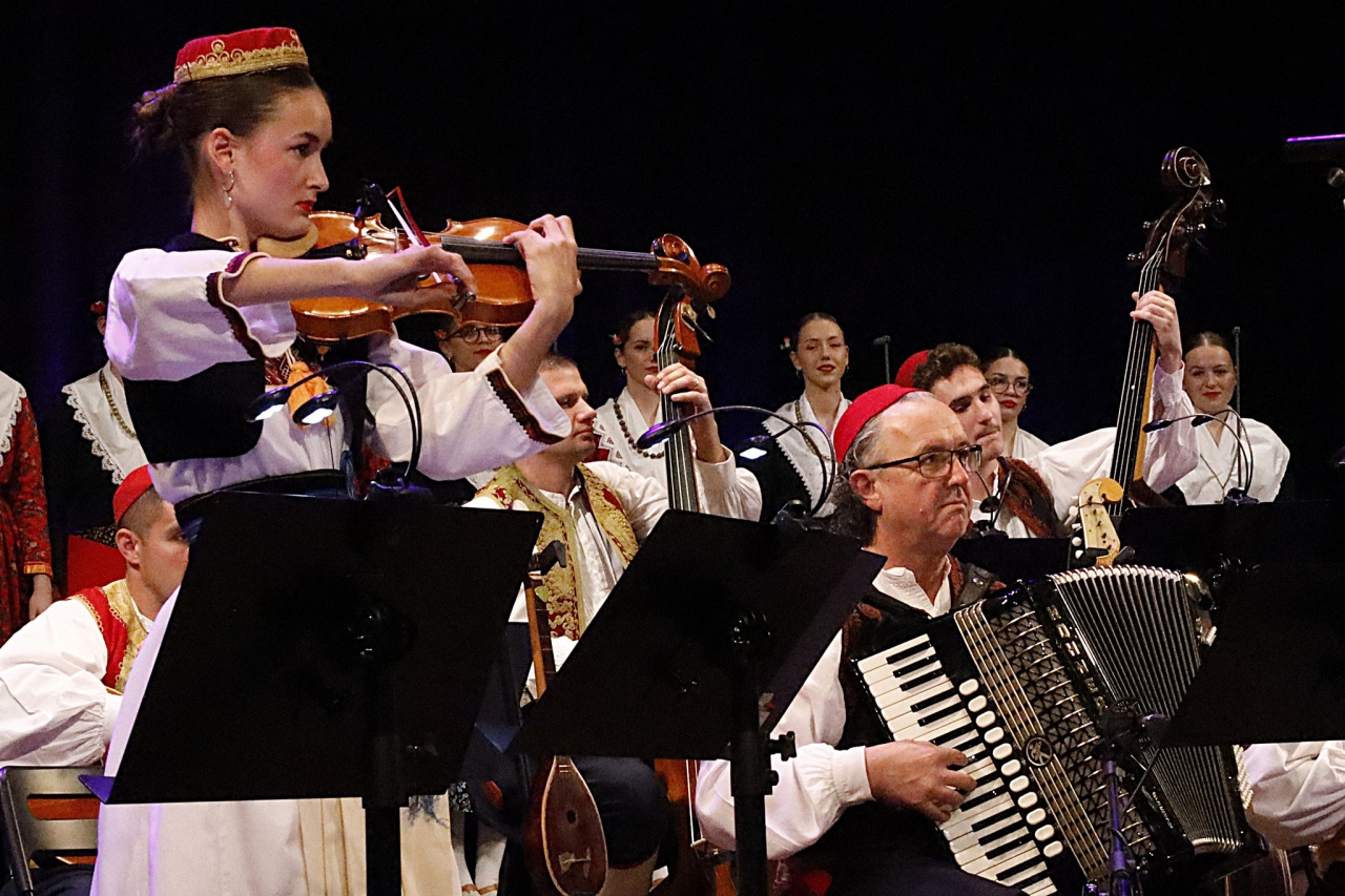 Artyści występujący na scenie MDK