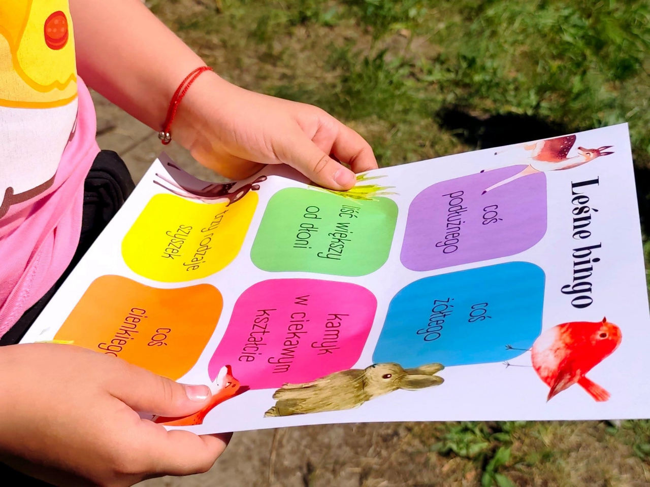 Leśne bingo Leśne bingo