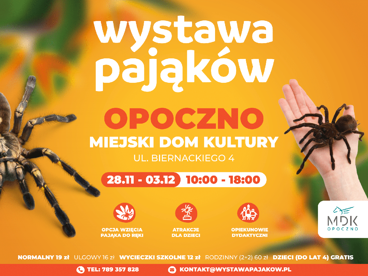 Wystawa Pająków w Opocznie (28.11-03.12)