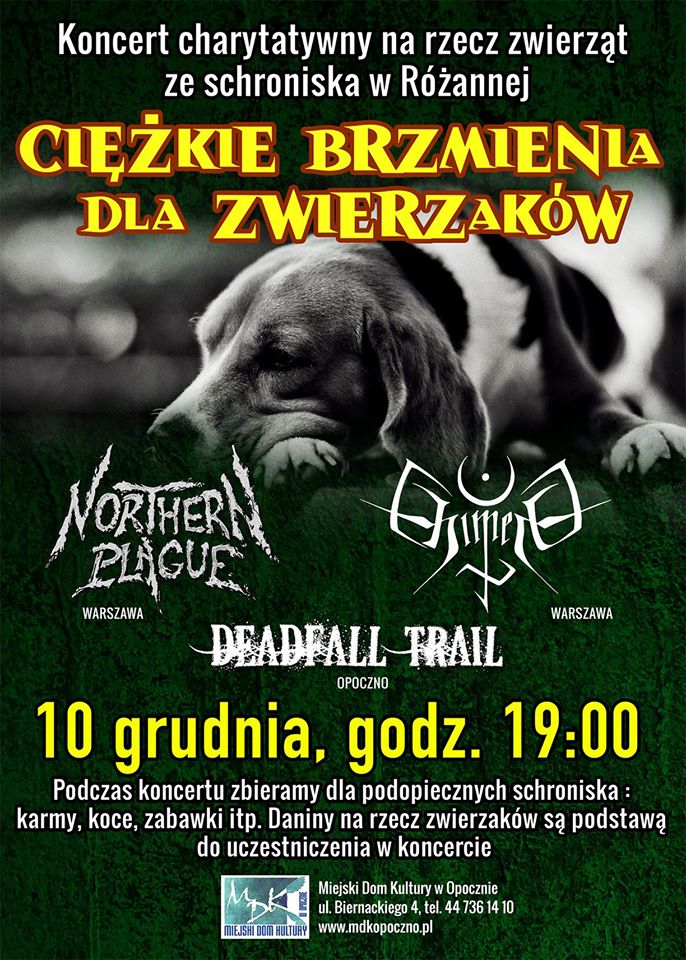 Cieżkie Brzmienia dla Zwierzaków - koncert charytatywny