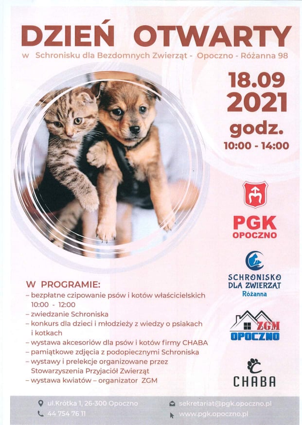 Dzień otwarty w schronisku …